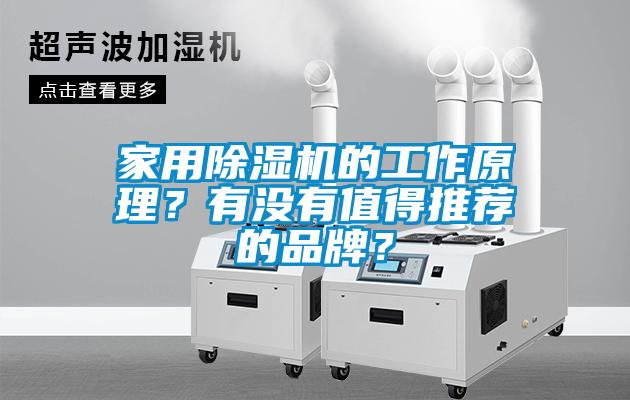 家用除濕機的工作原理？有沒有值得推薦的品牌？