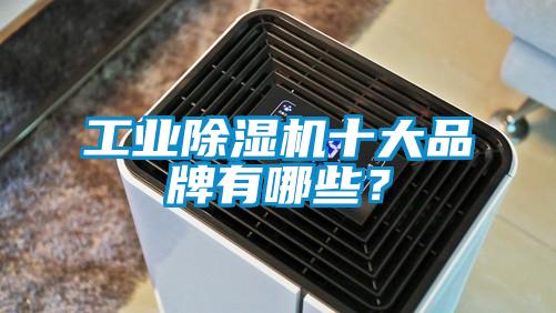 工業除濕機十大品牌有哪些？