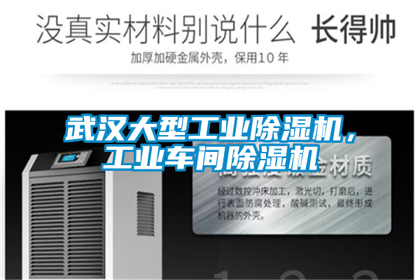 武漢大型工業除濕機,工業車間除濕機