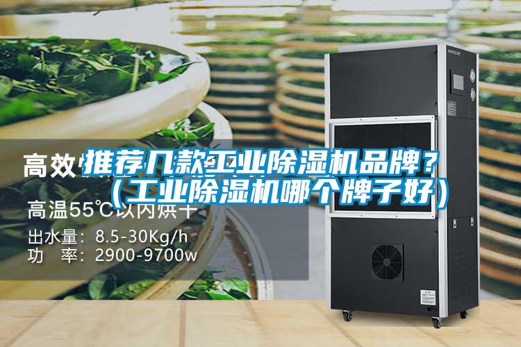 推薦幾款工業除濕機品牌？（工業除濕機哪個牌子好）