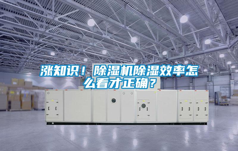 漲知識！除濕機(jī)除濕效率怎么看才正確？