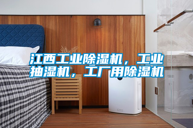 江西工業(yè)除濕機，工業(yè)抽濕機，工廠用除濕機