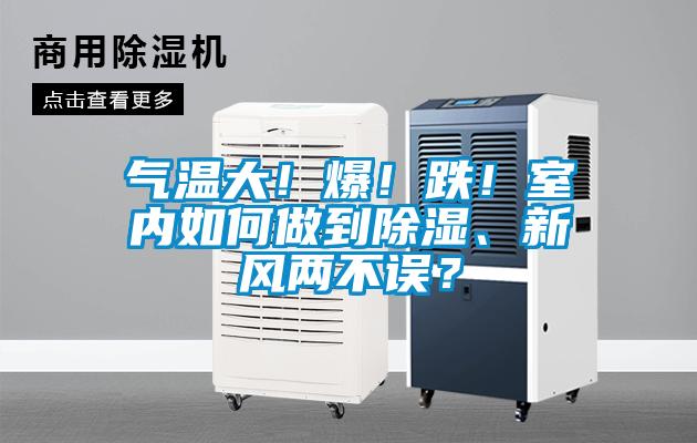 氣溫大!爆!跌!室內如何做到除濕、新風兩不誤?