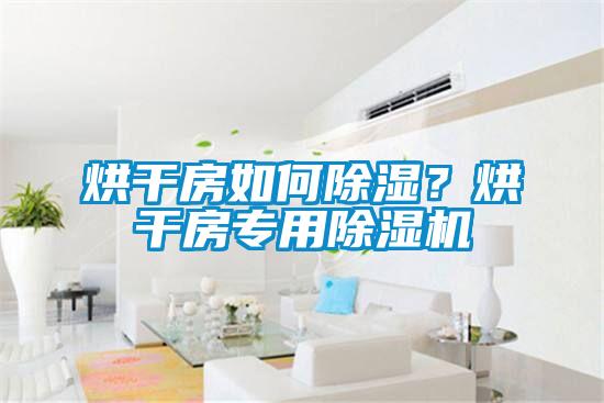 烘干房如何除濕?烘干房專用除濕機