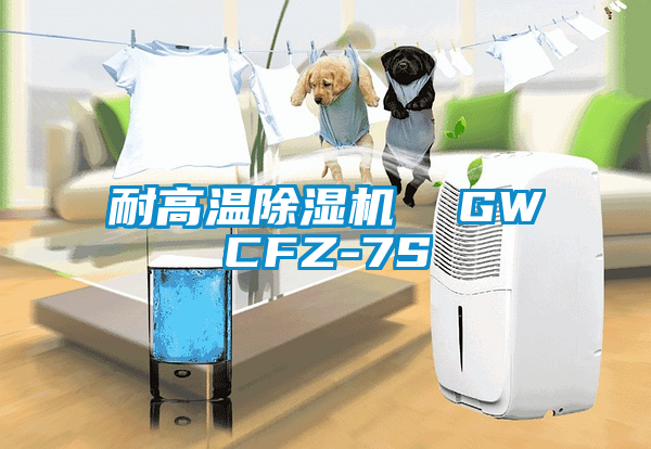 耐高溫除濕機(jī) GWCFZ-7S
