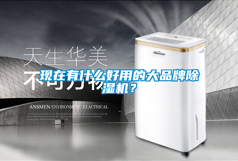 現(xiàn)在有什么好用的大品牌除濕機(jī)?