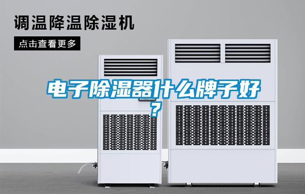 電子除濕器什么牌子好？