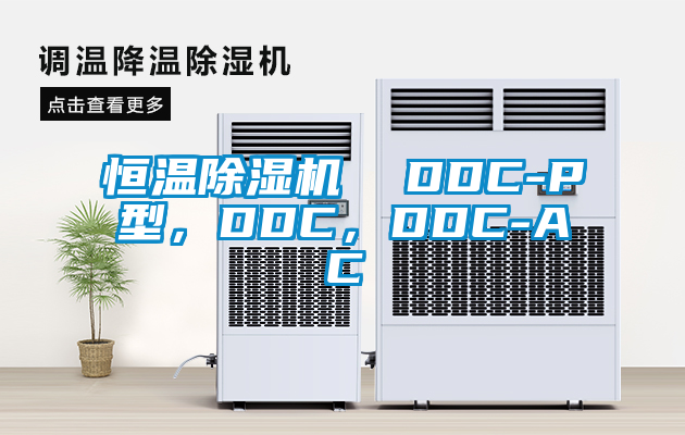 恒溫除濕機(jī) DDC-P型,DDC,DDC-AC