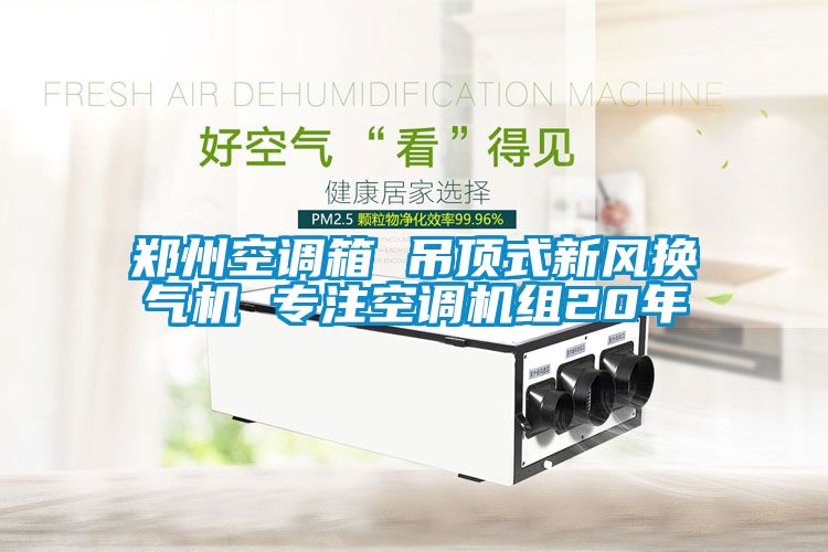鄭州空調(diào)箱 吊頂式新風(fēng)換氣機(jī) 專(zhuān)注空調(diào)機(jī)組20年