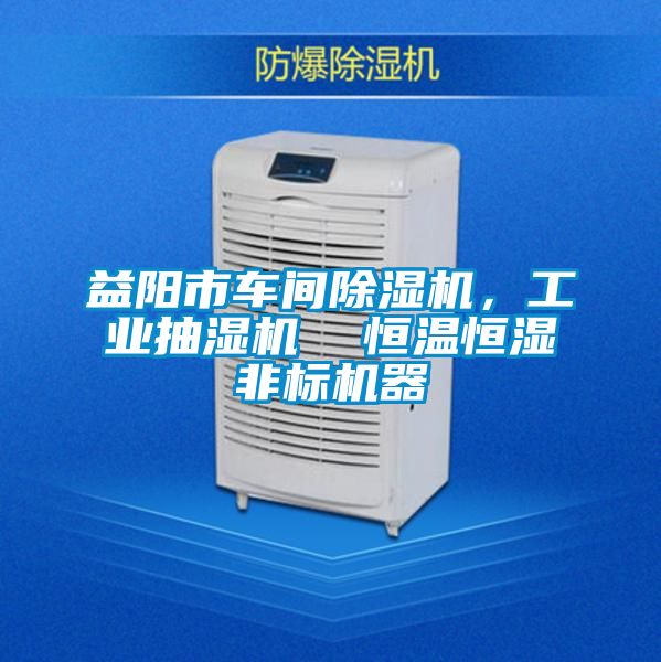 益陽(yáng)市車(chē)間除濕機(jī)，工業(yè)抽濕機(jī)  恒溫恒濕非標(biāo)機(jī)器