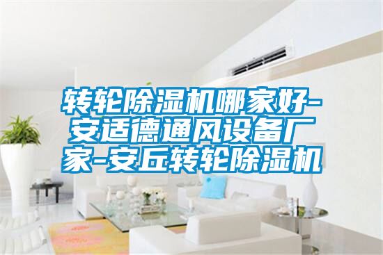轉輪除濕機哪家好-安適德通風設備廠家-安丘轉輪除濕機