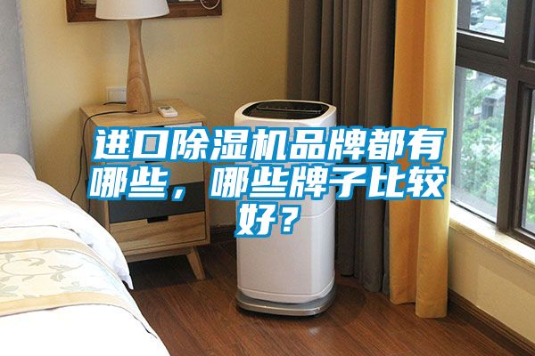 進口除濕機品牌都有哪些，哪些牌子比較好？