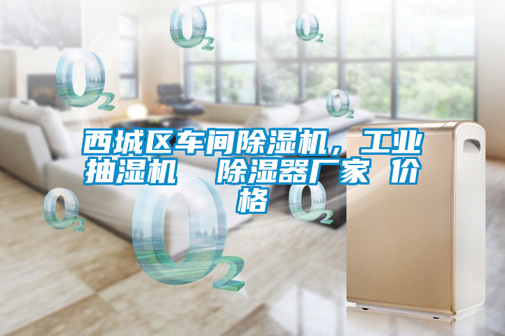 西城區(qū)車間除濕機(jī),工業(yè)抽濕機(jī) 除濕器廠家 價(jià)格