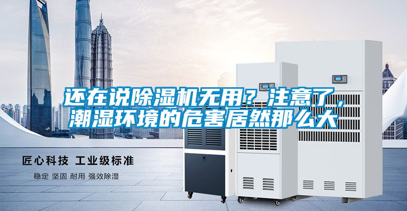 還在說除濕機無用?注意了,潮濕環境的危害居然那么大