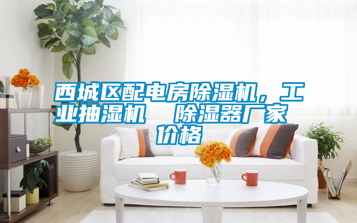 西城區配電房除濕機，工業抽濕機  除濕器廠家 價格
