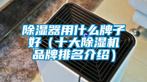 除濕器用什么牌子好(十大除濕機(jī)品牌排名介紹)