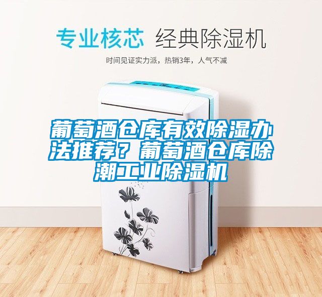 葡萄酒倉庫有效除濕辦法推薦？葡萄酒倉庫除潮工業除濕機